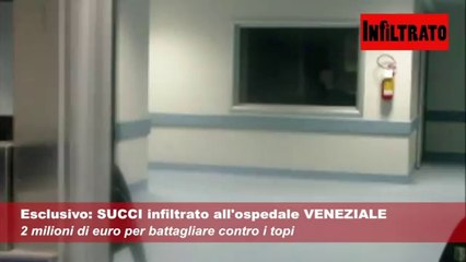 Isernia, 2 milioni di euro per una sala operatoria che...non c è. E spunta il veleno per topi