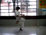 Shotokan Karate-Mae Geri
