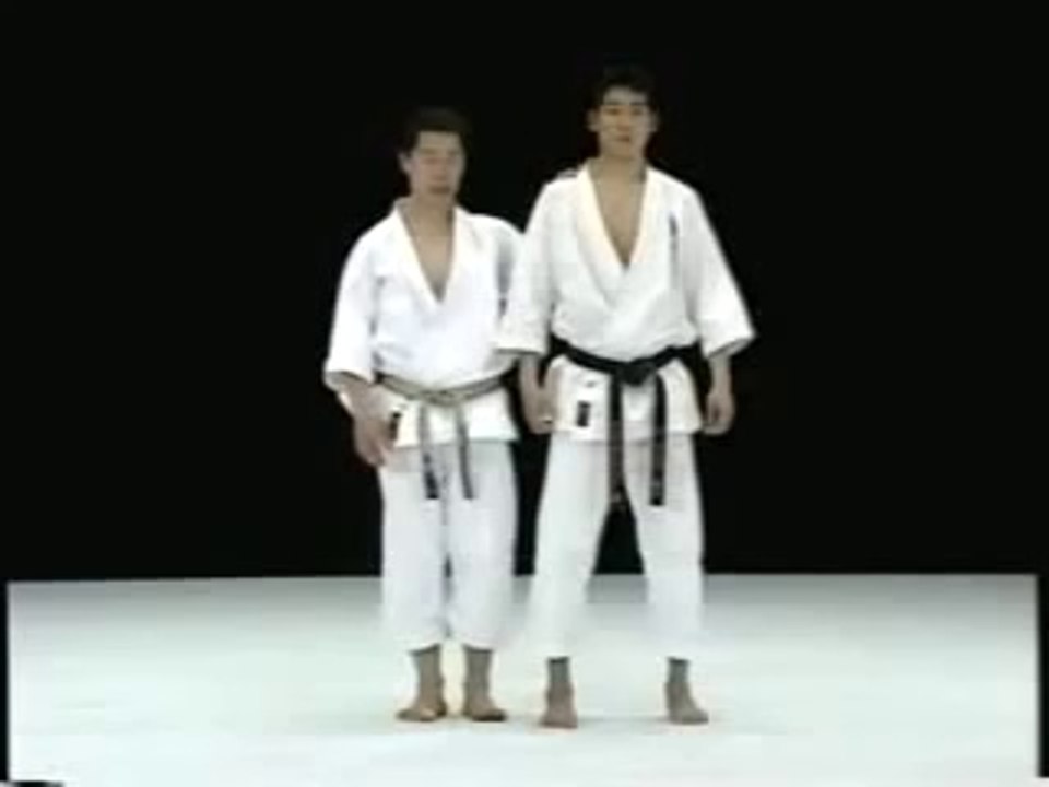 Shotokan Karate Mawashi-Geri