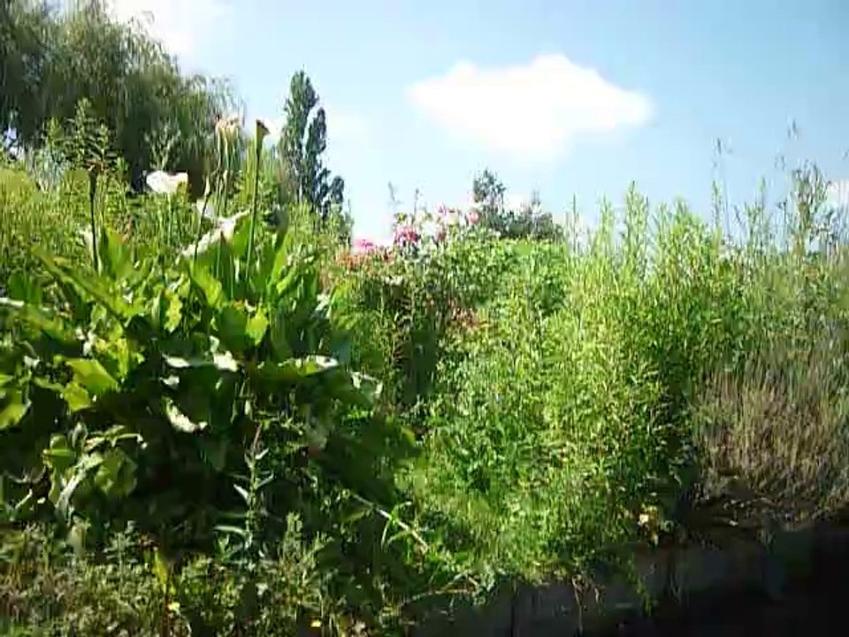 Entrainement des U9 spéciale Christophe et André!!!!!!!!