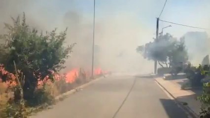 Φωτιά στην Κοζάνη