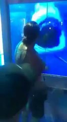 Köpek balığı kadının aklını aldı