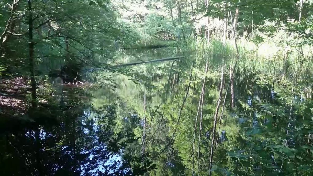 eine fahrad- tour...