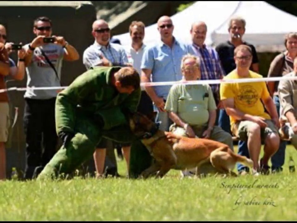 Be Aware Black Betty @ 50-Jahre Militärhundezentrum Kaisersteinbruch