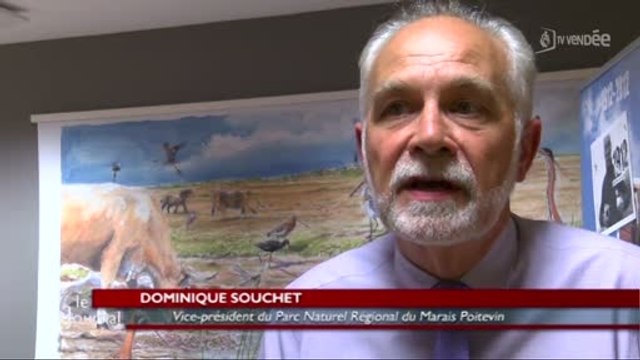 Marais Poitevin : 1er été en tant que Parc naturel régional