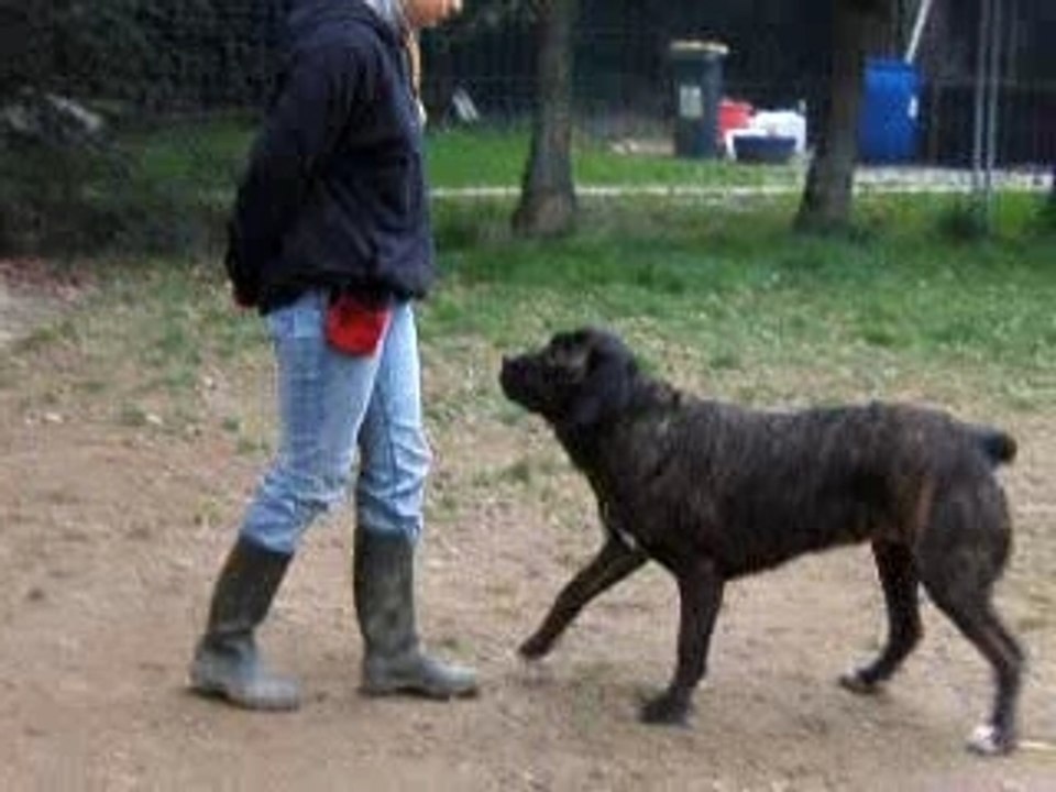 entrainement obé rythmée 2