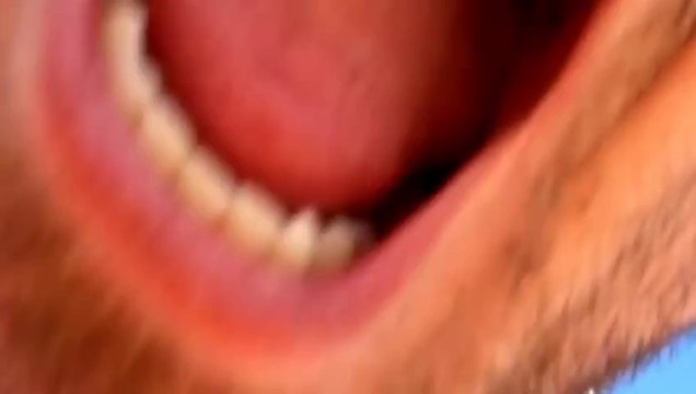 Throwing Branch Fail - Fails World