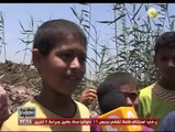بندق برة الصندوق: كأس العالم بعيون فلاحين مصر