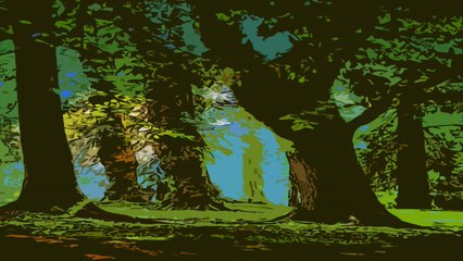 Kai & Indigo - A World Without Sound