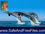 Download Living Dolphins 3D Screensaver 1.01 Activation Code Generator Free