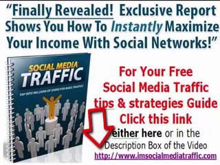 Make Money Online Using Free Amazon WP Theme