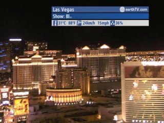 Vienna - Austria, Barcelona - Spain, Venice - Italy, Prague - Czech Republic, Las Vegas - USA, Cologne - Germany, Auckland - New Zealand