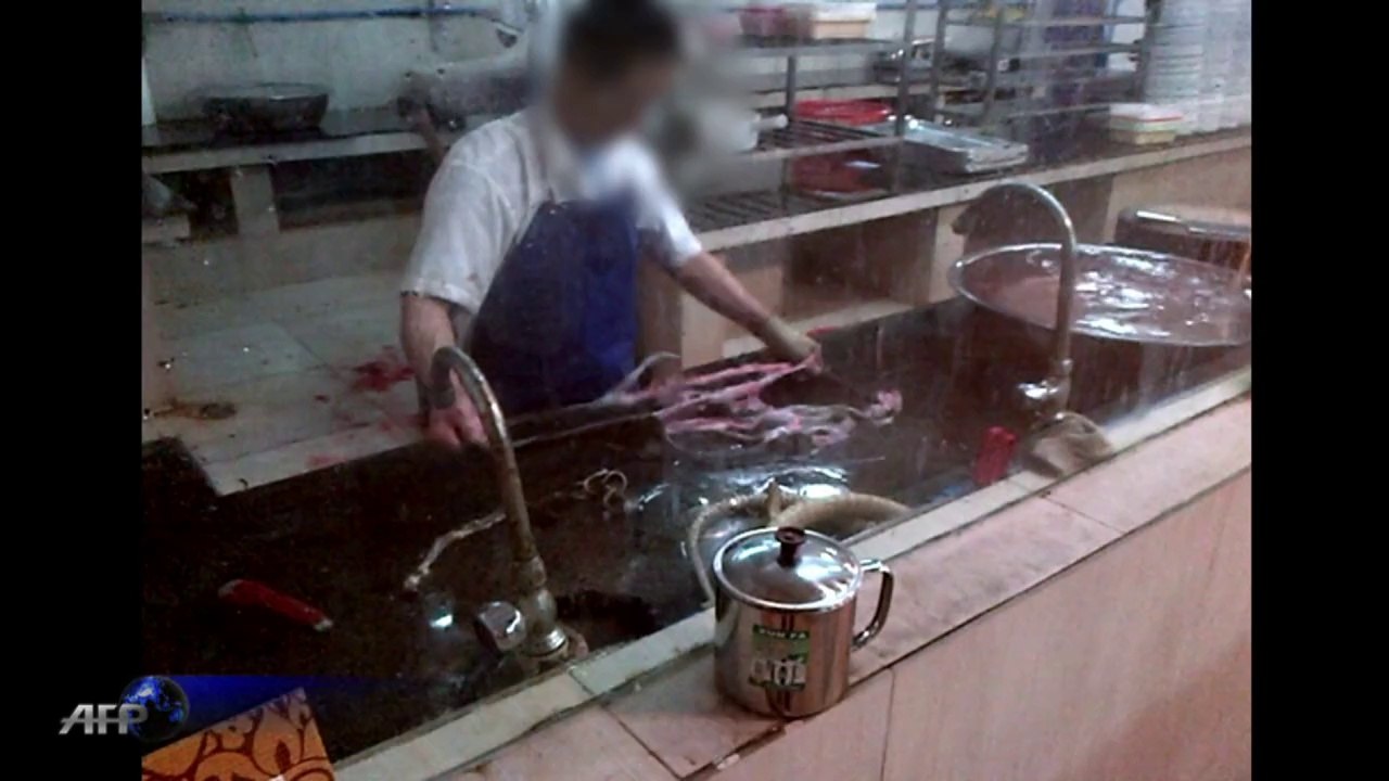 Wild things: crackdown on menu for China's animal eaters