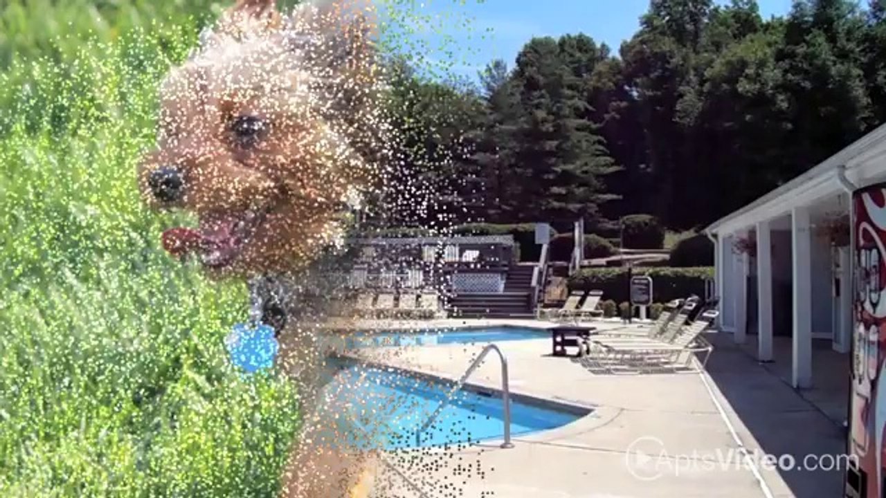 Ashton Oaks Apartments in Winston Salem, NC - ForRent.com