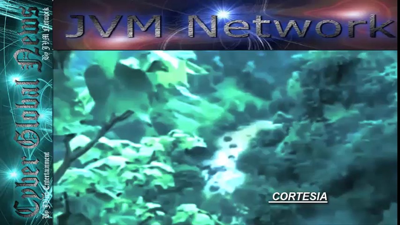 Impactante Video muestra como una familia entera se ahoga en India