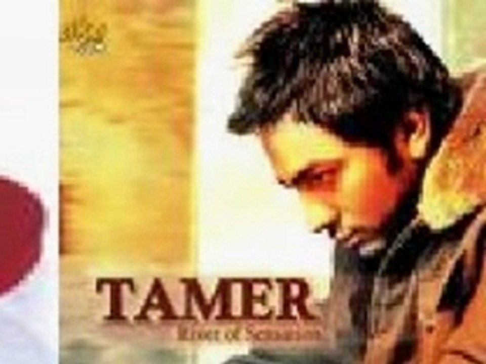 tamer2007