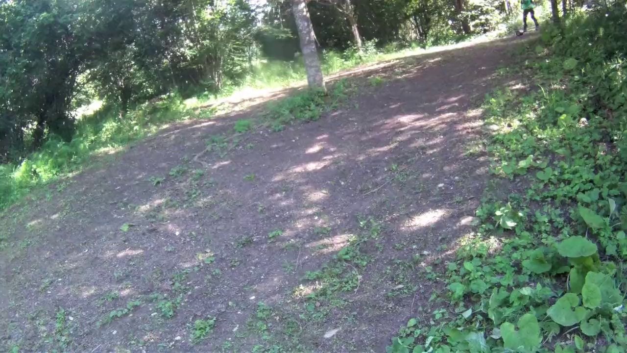 boschetto!