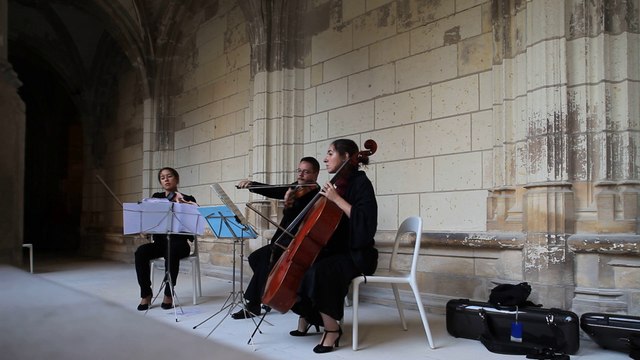 Rayon Frais - AMT - Cloître de la Psalette - 06/07/14