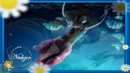 Sertap Erener - Oysa