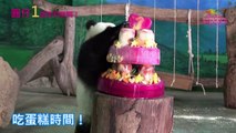حديقة تايوان تحتفل بالعيد الاول لحيوان من نوع باندا ولد فيها