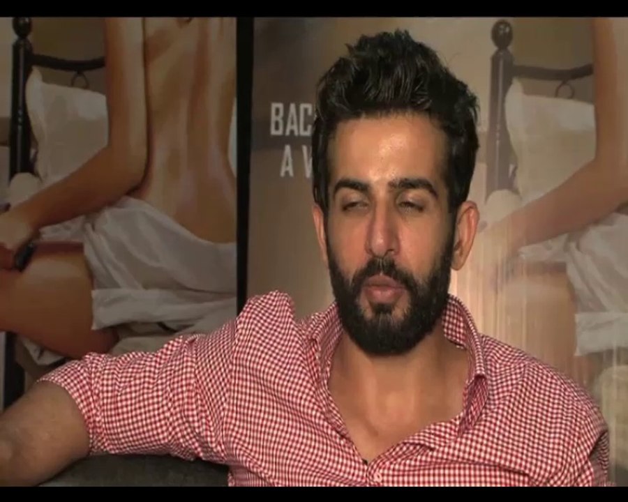 INTERVIEW Jay Bhanushali on Hate Story 2