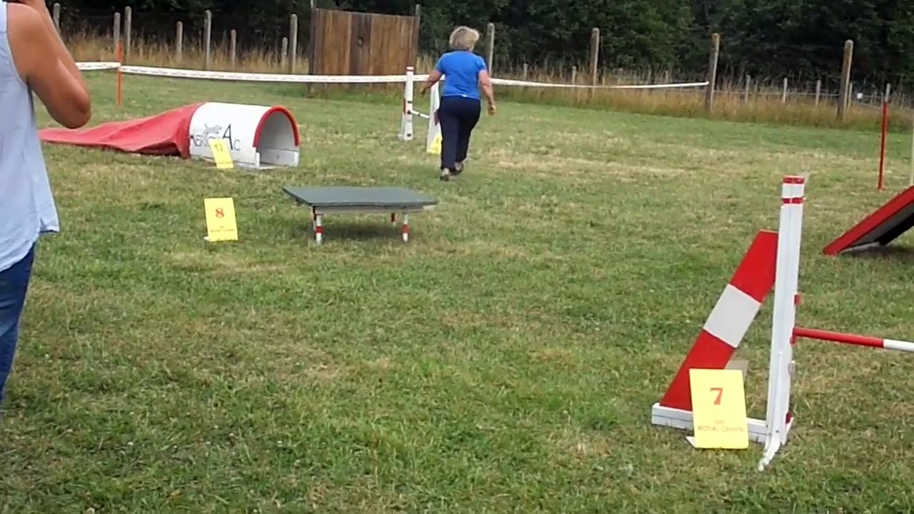 2014-07-06 club bordelais d' éducation canine