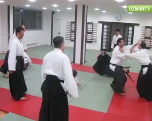 Aikido yapmanın günlük hayattaki yararları nelerdir
