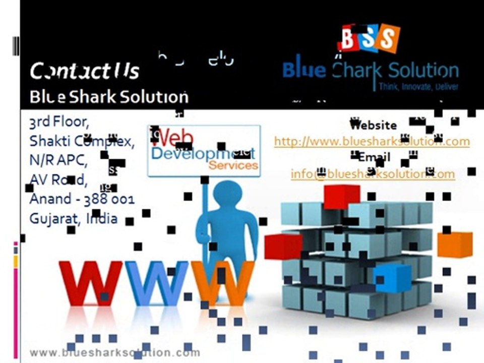 Why do you need web development services ?