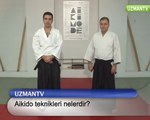Aikido teknikleri nelerdir