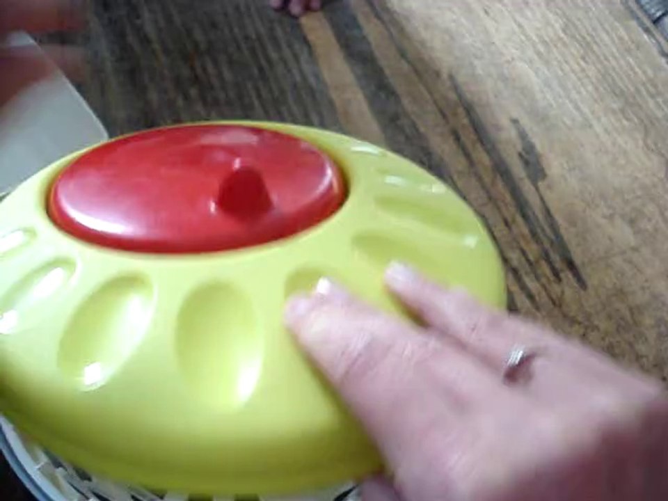 sylvanian
