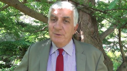 Le héron cendré