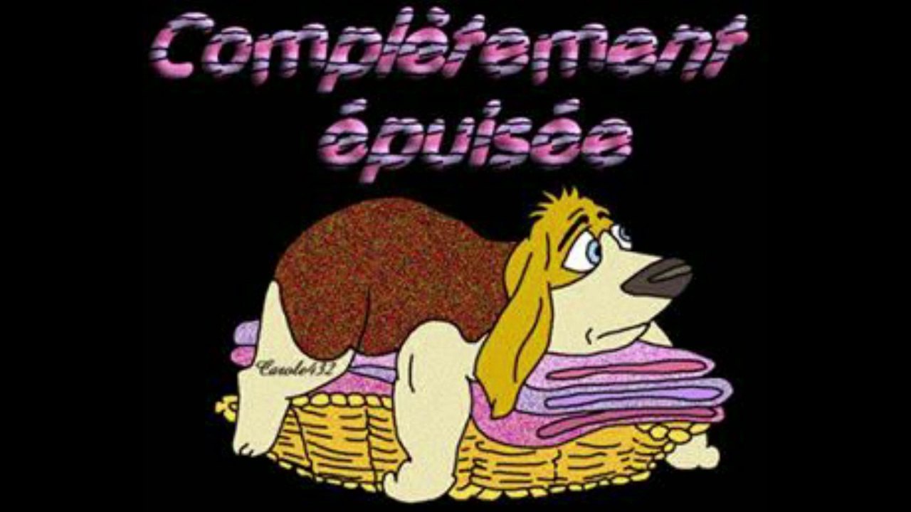 2014-07-06 club bordelais d' éducatio canine suite