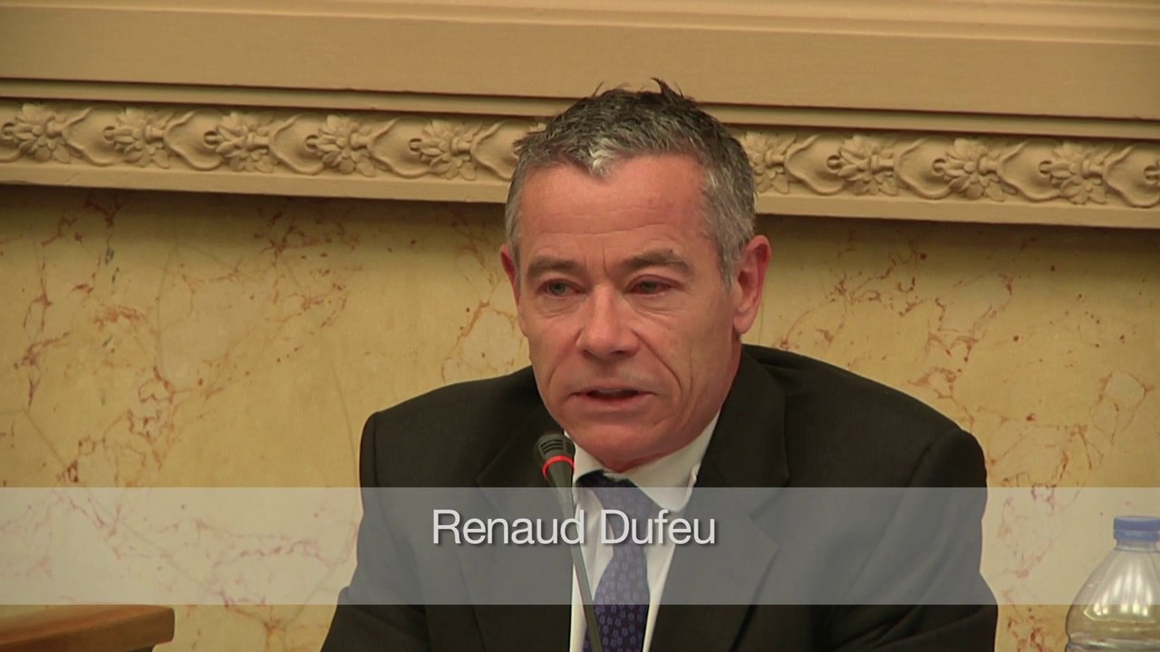 17 Renaud Dufeu colloque Paradis Fiscaux 2014