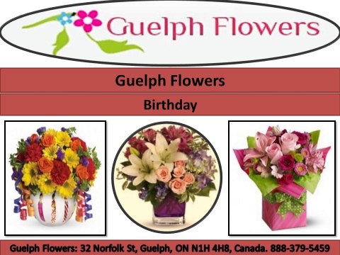 Guelph Flowers (888) 379-5459