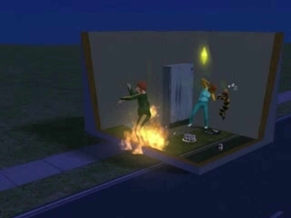 Les Sims 2 encore un bug