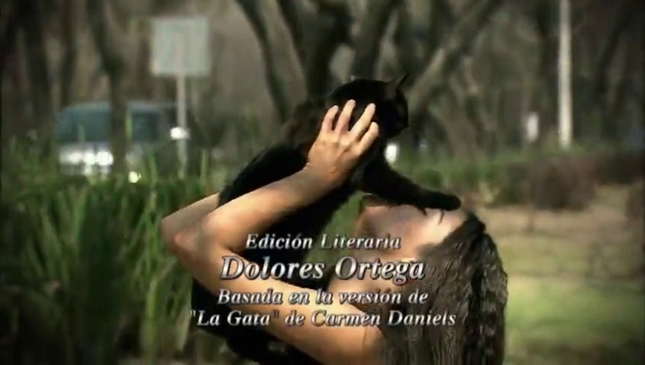Entrada 2 LG