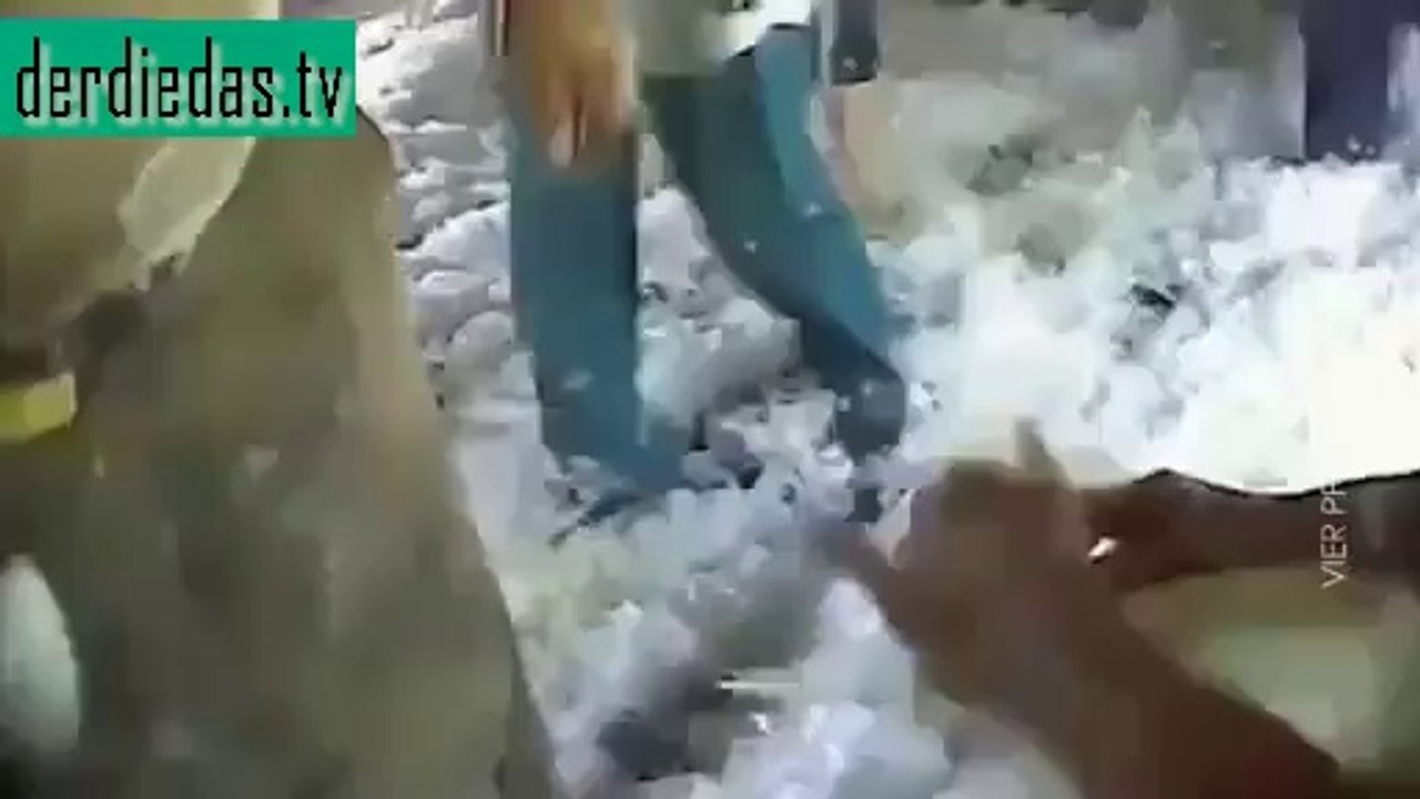 Tierquälerei – Das ziehen wir leider an :(