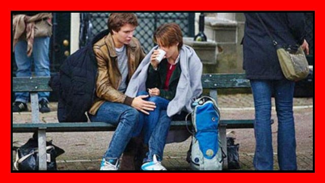 Amsterdam: rubata la panchina di Colpa delle stelle