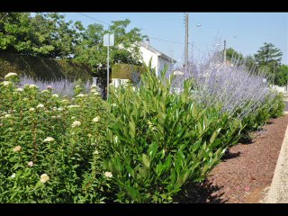 2014 Visitez Seurre autrement