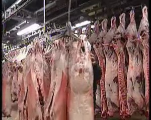 Alimentació halal (Tot un món) 2005