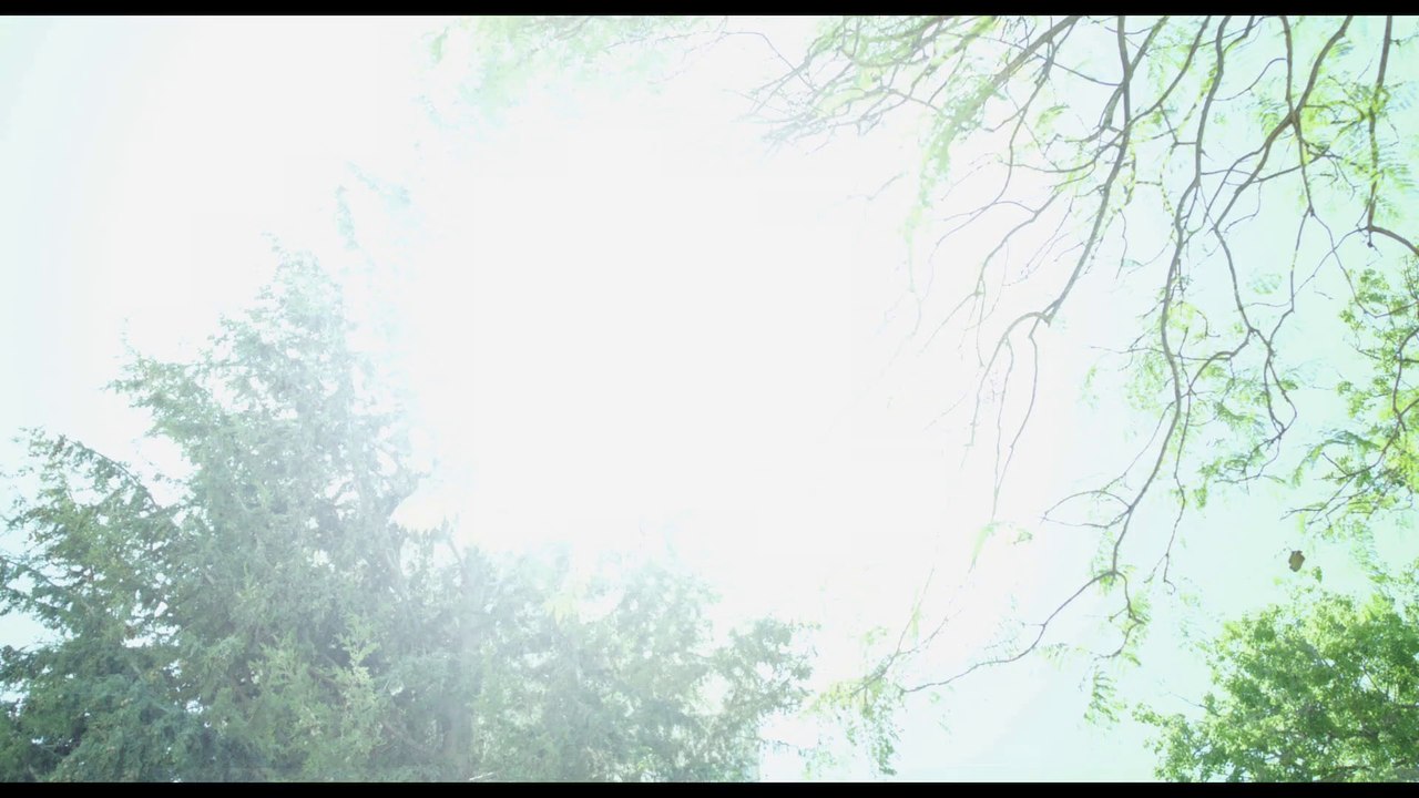 L'Institutrice de Nadav Lapid - Bande-annonce