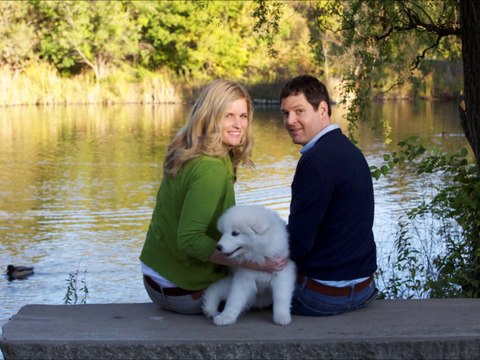 Our Samoyed Pup Blue