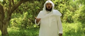 برنامج العذراء والمسيح الحلقة 8 - الشيخ محمد العريفى والشيخ حسن الحسينى