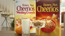 Honey Nut Cheerios - Buzz Meets Grumpy Cat - Must Bee The Honey