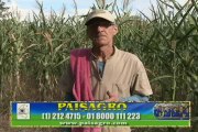 7 JULIO 2014 Paisagro dia de Campo Tocaima