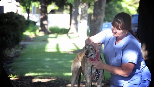 Welcome to Tassajara Veterinary Clinic