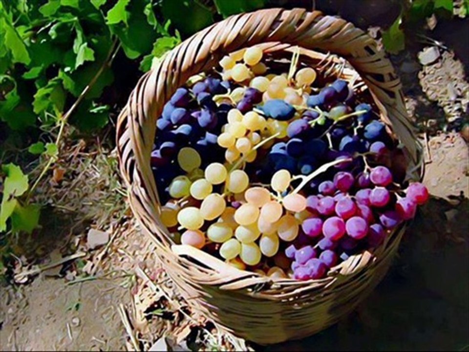 SILAYA DOĞRU GİDESİM GELİR