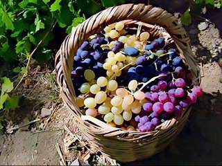 SILAYA DOĞRU GİDESİM GELİR