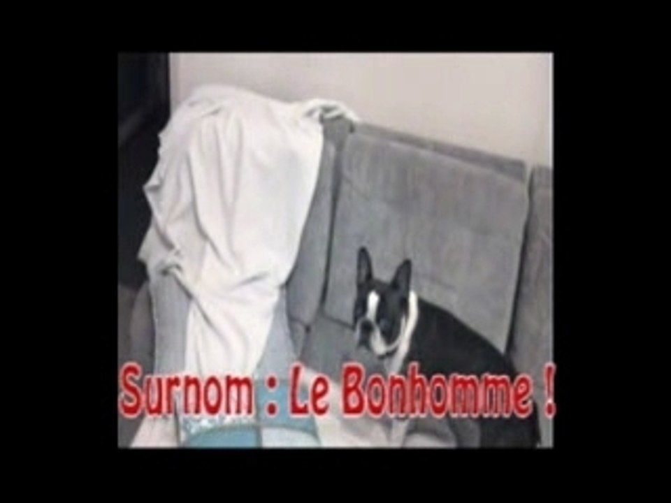Tomtom