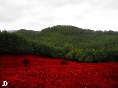 Устата - Седмото Небе ( Ремикс - Заредени )
